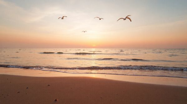 Top expériences à vivre au camping lagon d'Argelès-sur-Mer